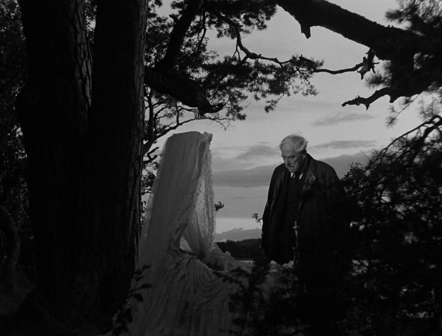 Wild Strawberries